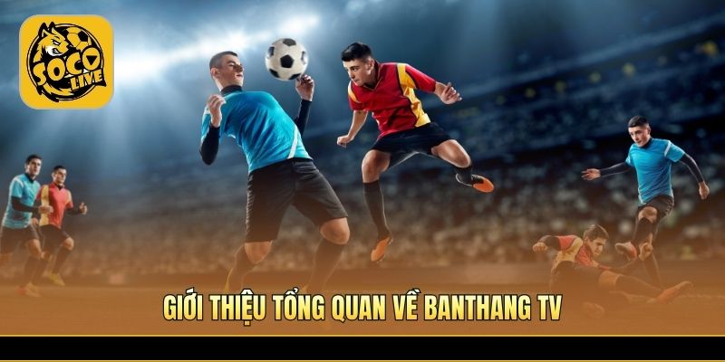 Banthang TV cập nhật bóng đá trực tuyến cực nhanh mỗi ngày 